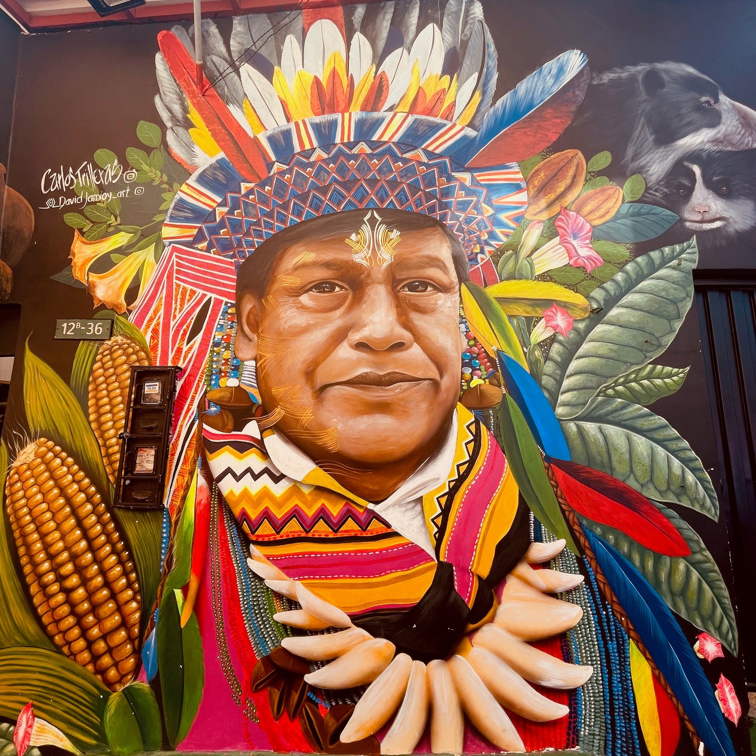 Kakao – die weibliche Pflanzenkraft, die uns erinnert