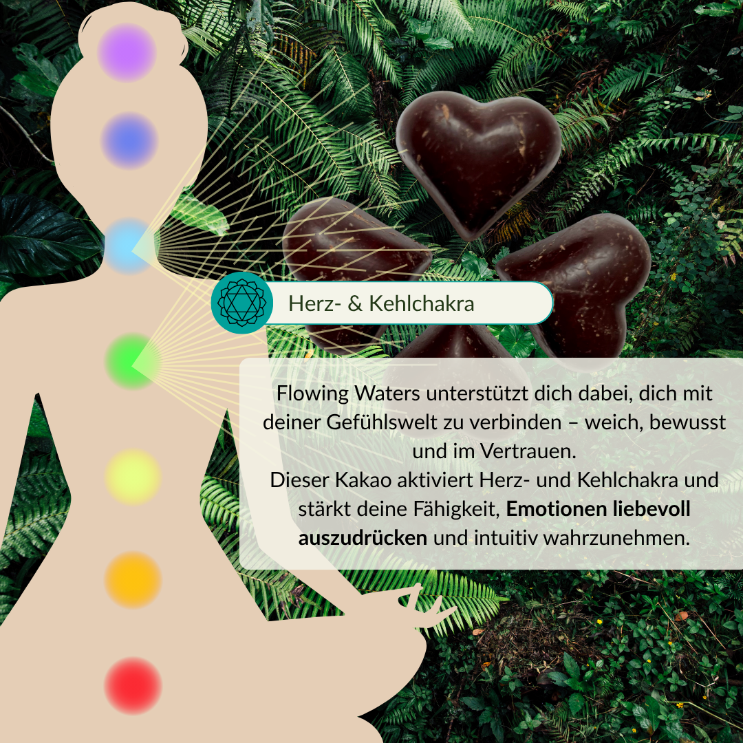 Chakras und Kakao