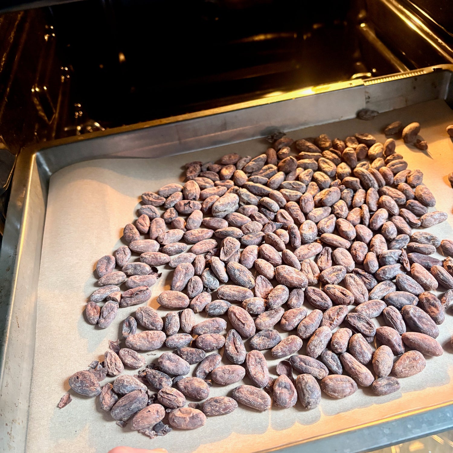 Kakaobohnen rösten. Kakao mit allen Sinnen erleben