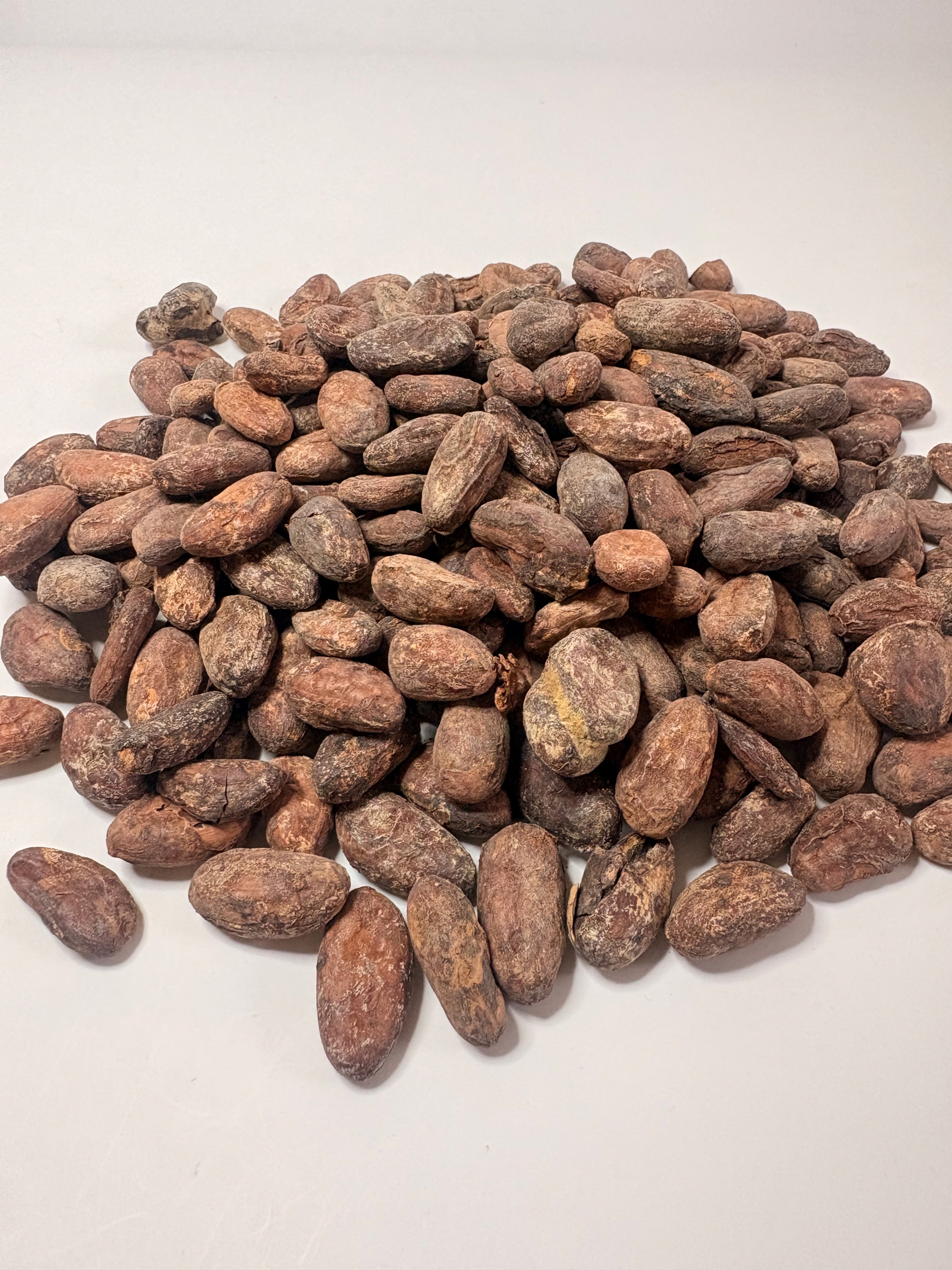 NEU! Kakaobohnen fermentiert & ungeröstet