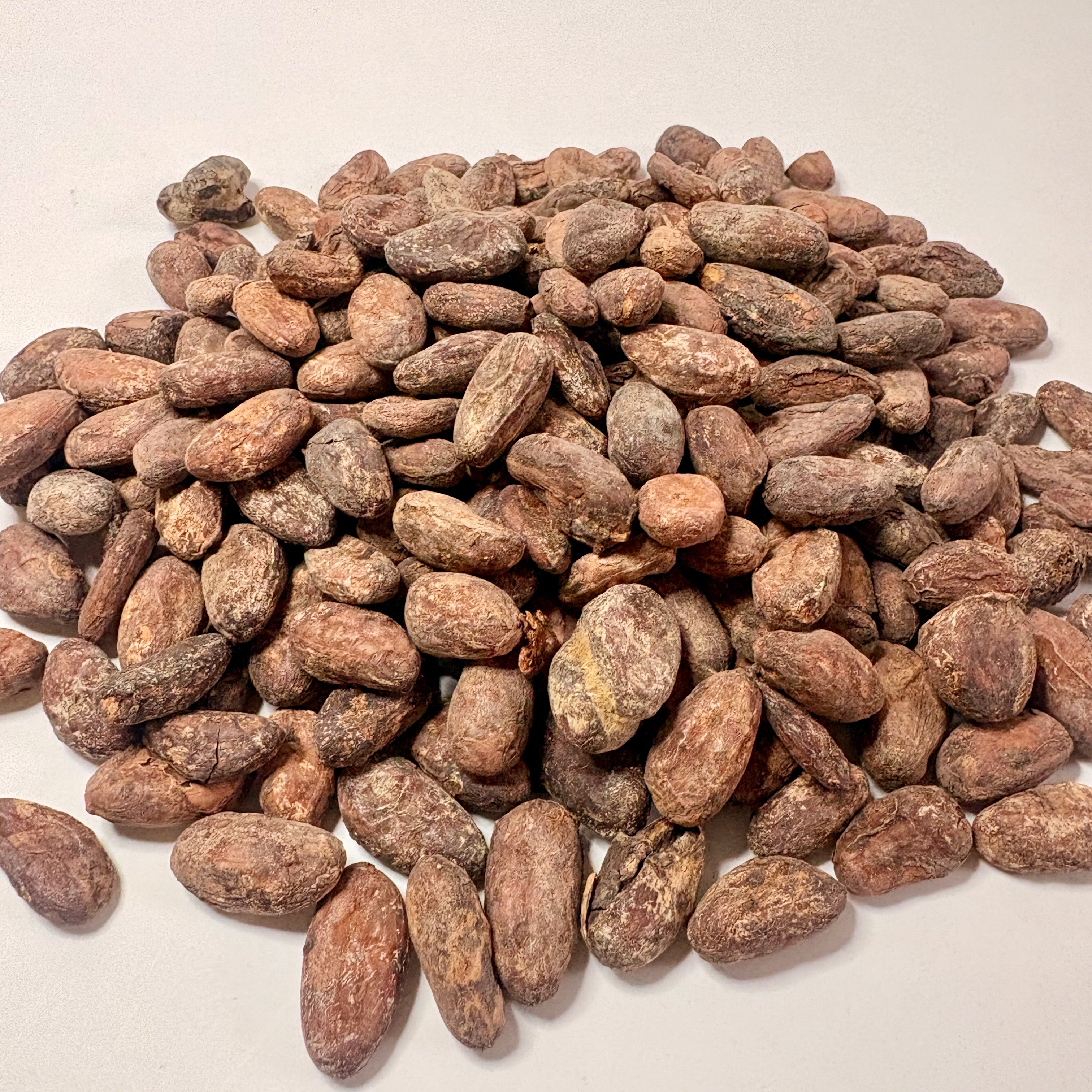 NEU! Kakaobohnen fermentiert & ungeröstet